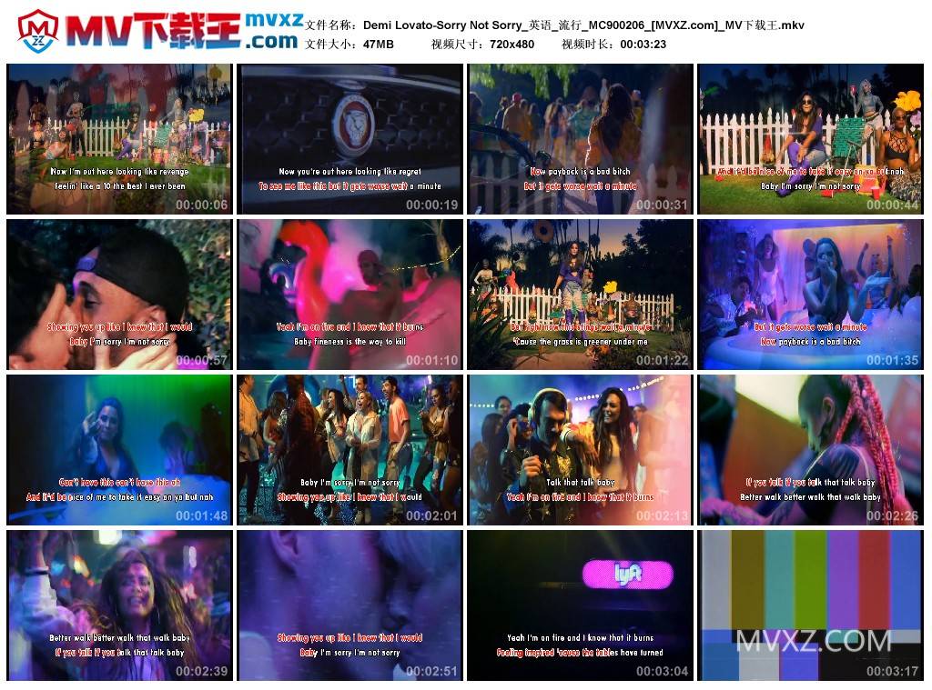 Demi Lovato-Sorry Not Sorry_英语_流行_MC900206
